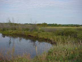 Rice Lake Wildlife Refuge