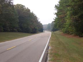 Trace Road Tombigbee National Forest