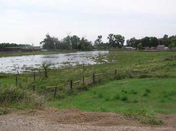 Flooded Field