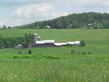 Vermont Farm