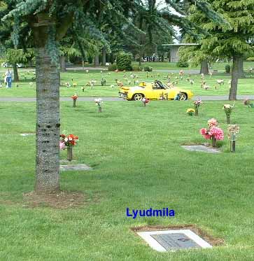 Lyuda's grave under a shade tree