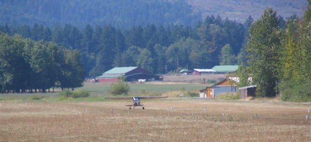 Landing at Cougar Mountain
