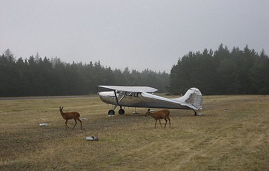 3S7 early in the morning